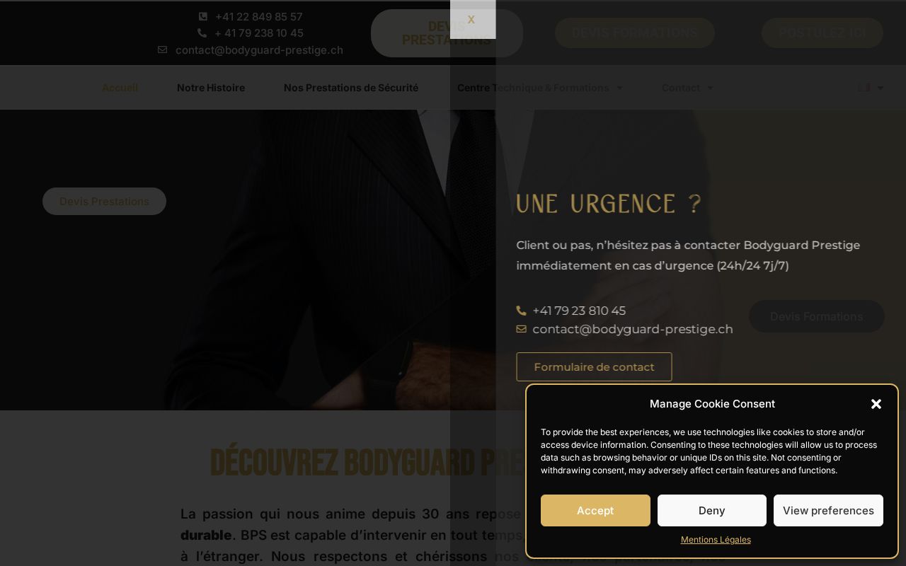 Aperçu de Bodyguard Prestige